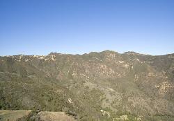 malibu-bowl-50840