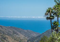 malibu-bowl-50841