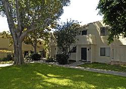 malibu-gardens-8657