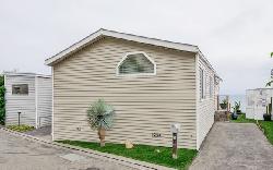 malibu-village-37539