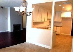 maple-project-17301