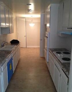maple-project-17304