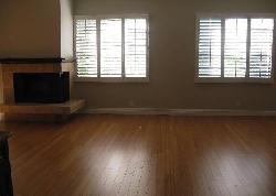 maple-project-17309