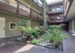 mayfield-manor-32460