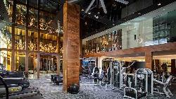 modera-hollywood-42052