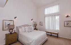 oak-forest-35502