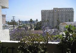 oakhurst-terrace-8552