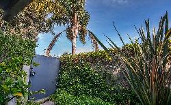 ocean-park-lofts-17696
