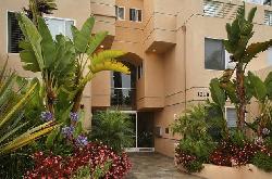 ocean-regency-12133