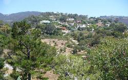 ocean-woods-terrace-28095