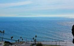 ocean-woods-terrace-28096