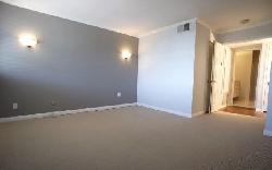 olive-executive-townhomes-9272