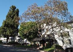 olive-manor-7082