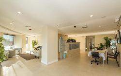 olympic-vistas-25372