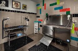 onyx-glendale-44637