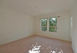 orange-grove-condos-41324