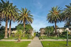 orange-grove-gardens-42204