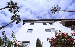 orchid-apartments-25826