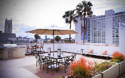 orchid-apartments-25829