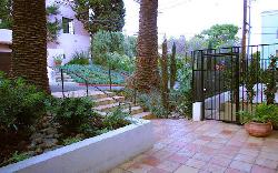 orchid-apartments-25832