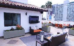 orchid-apartments-25842