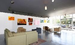 ostrich-farm-lofts-22891