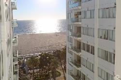 pacific-plaza-31222