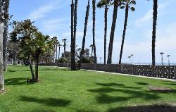 pacific-strand-21514