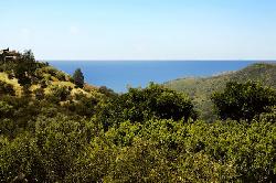 palisades-hills-51732