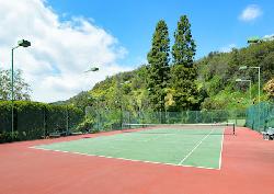 palisades-tennis-estates-44814