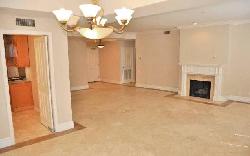 palm-drive-plaza-24456