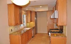 palm-drive-plaza-24457