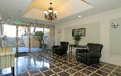 palm-drive-plaza-24465
