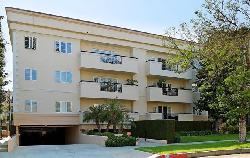 palm-drive-plaza-24466