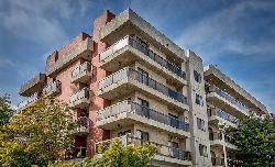 palm-tower-20744