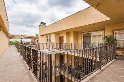 palm-village-41414