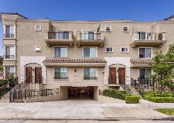 palms-at-tilden-33146