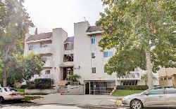 palms-keystone-41357