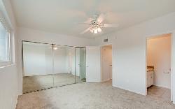 palms-keystone-41362