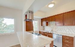palms-keystone-41363