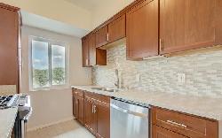 palms-keystone-41364