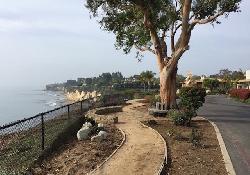 paradise-cove-50804