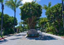 paradise-view-estates-50921