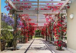 park-la-brea-49509