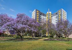 park-la-brea-49510