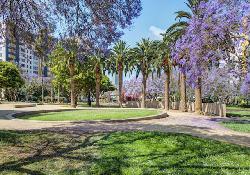 park-la-brea-49514
