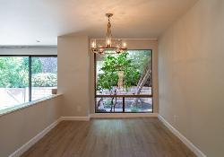 park-lane-49543