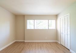 park-lane-49544