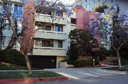 park-oakhurst-15665