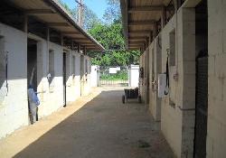 parkside-equestrian-estates-35340